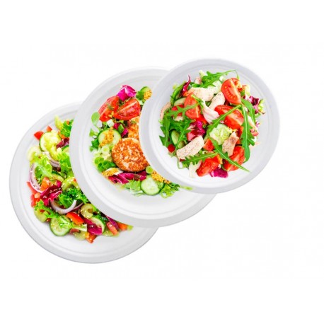 Assiette bagasse blanc ronde 18 cm x 50