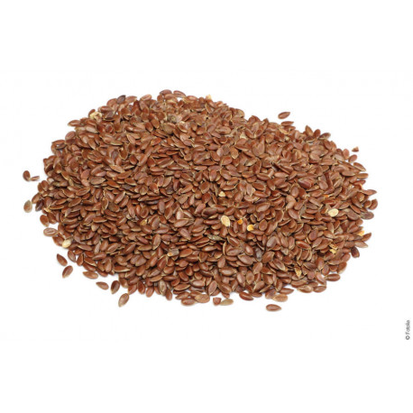 Graines de lin brun 1 kg
