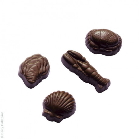Moule friture coquillages n°68 x 5 plaques
