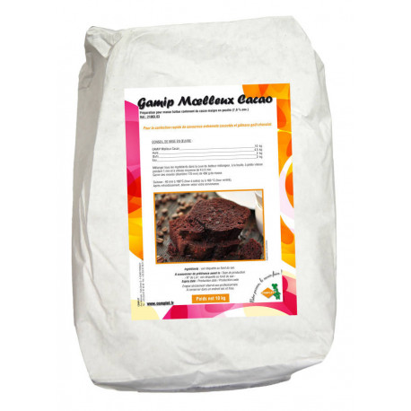 Préparation pour masse battue cacaotée Gamip moelleux cacao 10 kg