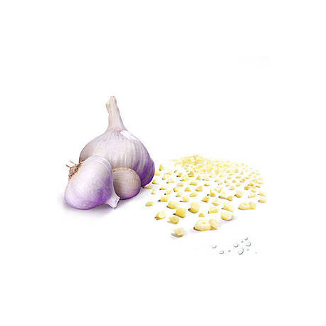 Ail en cubes IQF 1 kg