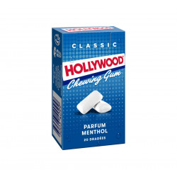 Chewing-gum Menthol dragées x 20
