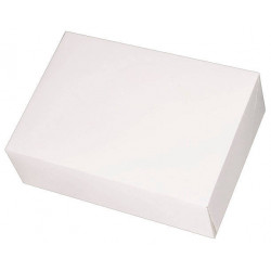 Boîte traiteur blanche 42,5 x 28,5 x 6 cm x 25
