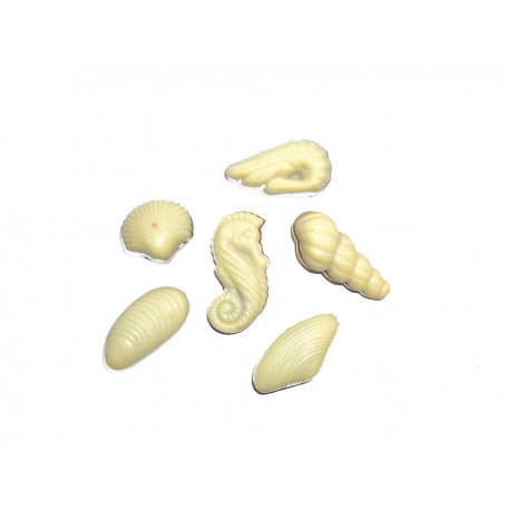 Moulage friture chocolat blanc 2000 g