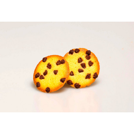 Palet aux pépites de chocolat 7 g