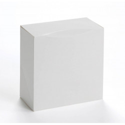 Boîte pâtissière blanche 33 x 33 x 5 cm x 25
