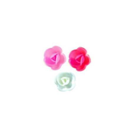 Mini rose en azyme 40 mm x 72