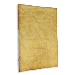 Plaque feuilletée beurre concentré 3,5 mm prête à cuire 910 g x12