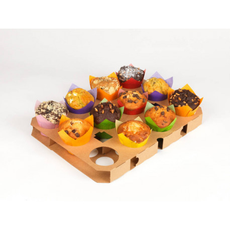 Plaque carton pour Tulipcup double face x 5