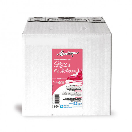 Préparation pour glace fraise UHT 5,5 kg