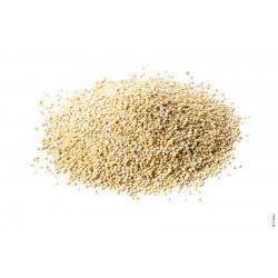 Graines de quinoa blanc 1 kg