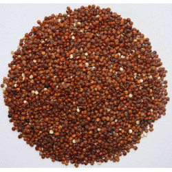 Graines de quinoa rouge bio 5 kg