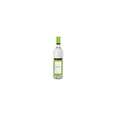 Eau-de-vie de poire William 45 % vol. 1 L