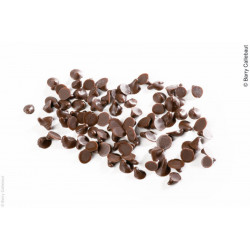 Chocolat 44 % cacao en gouttes 7500/kg 10 kg