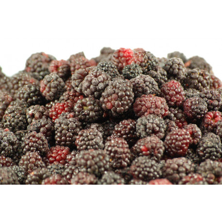 Mûre cultivée IQF 1 kg