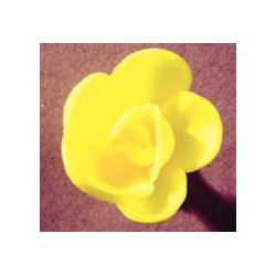 Petite rose jaune en azyme 40 mm x 72