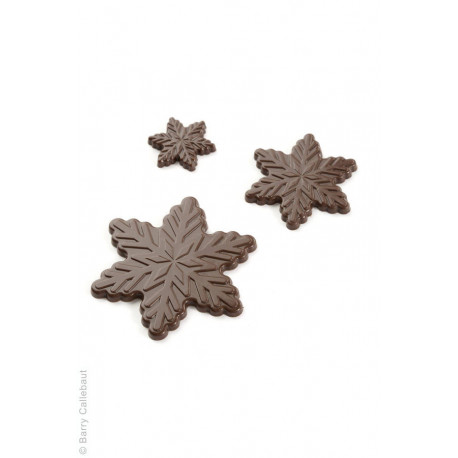 Moule flocon 5 cm n°276 x 2 plaques
