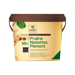 Praliné noisette du Piémont 50% 5 kg