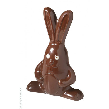 Moule grand lapin 19 cm n°221 x 2 plaques