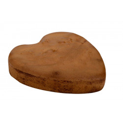 Genoise coeur cacao 220 mm
