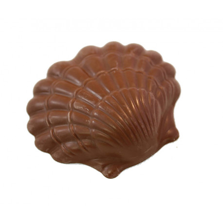 Moulage coquille Saint-Jacques chocolat au lait 130 g