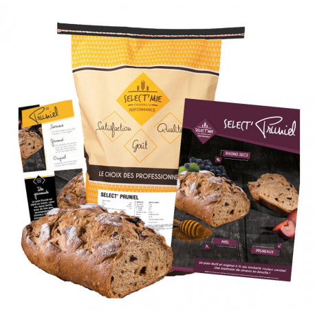 Préparation prête à l'emploi pour pain spécial Select'Pruniel 15 kg