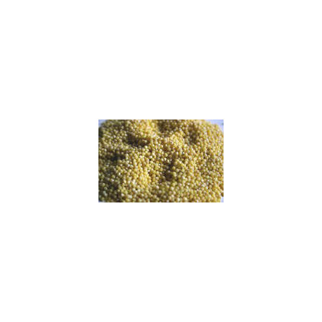 Graines de millet 25 kg