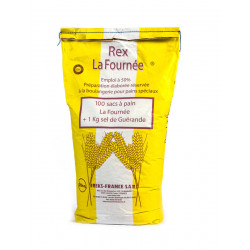 Préparation pour pain Rex La Fournée 50 % 25 kg