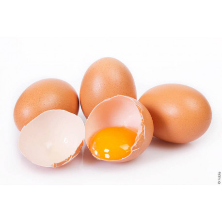 Oeuf frais vrac 53/63 g x 360