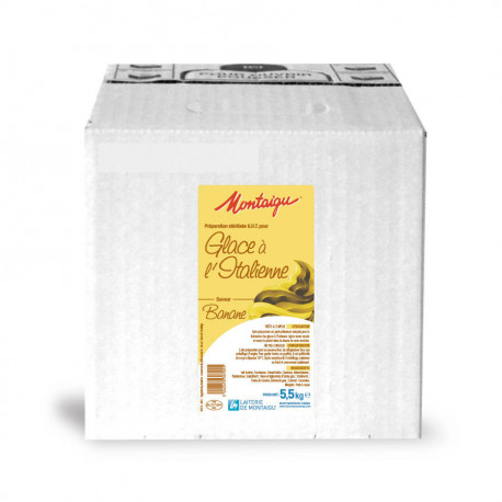 Préparation pour glace à l'italienne à la banae UHT 5,5 kg
