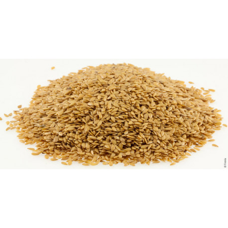 Graines de lin jaune 1 kg