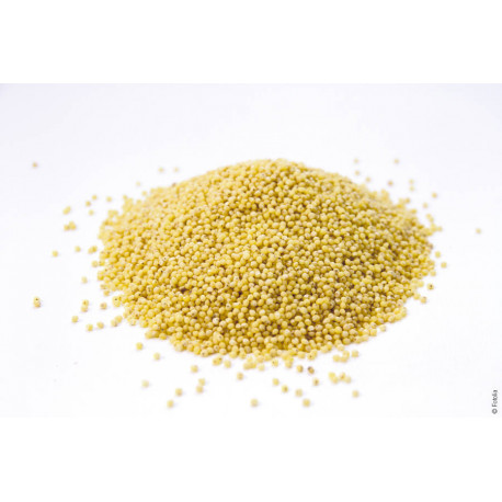 Graines de millet décortiquées 5 kg