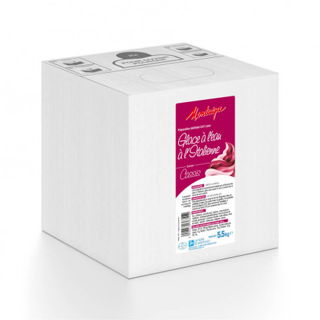 Préparation pour glace à l'italienne au cassis UHT 5,5 kg