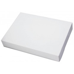 Boîte traiteur blanche 28 x 20 x 6 cm x 25