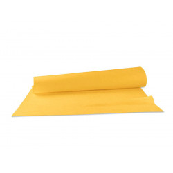 Feuille de lasagne précuites surgelées 2 kg