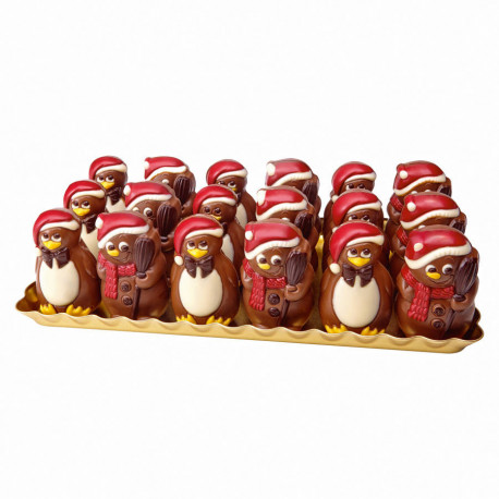 Chocolat bohomme de neige et pinguin 55 g