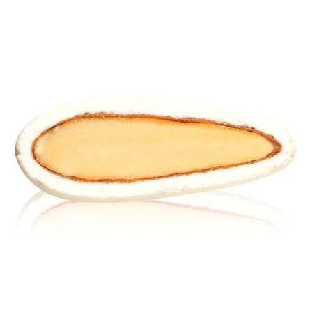 Amande dragifiée blanche Parisienne 1 kg