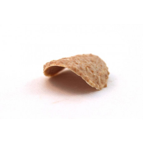 Tuile feuilletine croustillante-chocolat blanc 1,5 kg