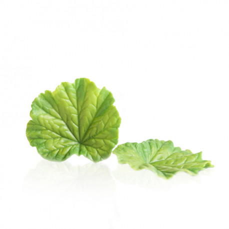 Feuille verte de printemps en chocolat blanc coloré 79 g