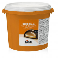 Fourrage caramel Delicream 5 kg