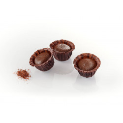 Mini fondants au chocolat 20 g