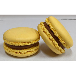 Macaron pâte à tartiner 16 g