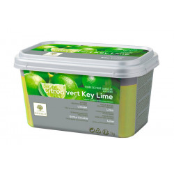 Purée de citron vert key lime non sucrée 1 kg