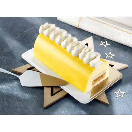 Bûche mangue passion 18 cm 574 g