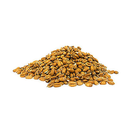Petit épautre cuit surgelé IQF 1 kg