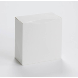 Boîte pâtissière blanche 25 x 25 x 8 cm x 50