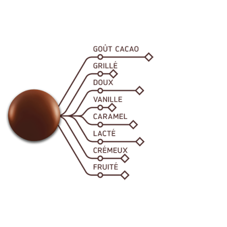 Chocolat de couverture lait 38,2 % cacao Lactée Supérieure 10 kg
