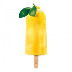 Sorbet plein fruit bio au citron Lavandines 24 x 70g