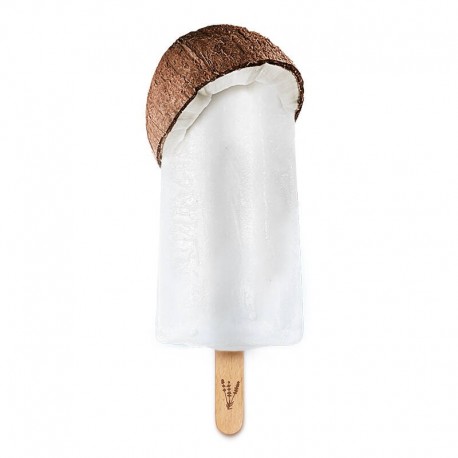 Sorbet plein fruit bio à la coco Lavandines 24 x 70g