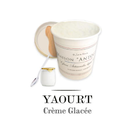 Crème glacée yaourt bulgare nature 125 ml x 18